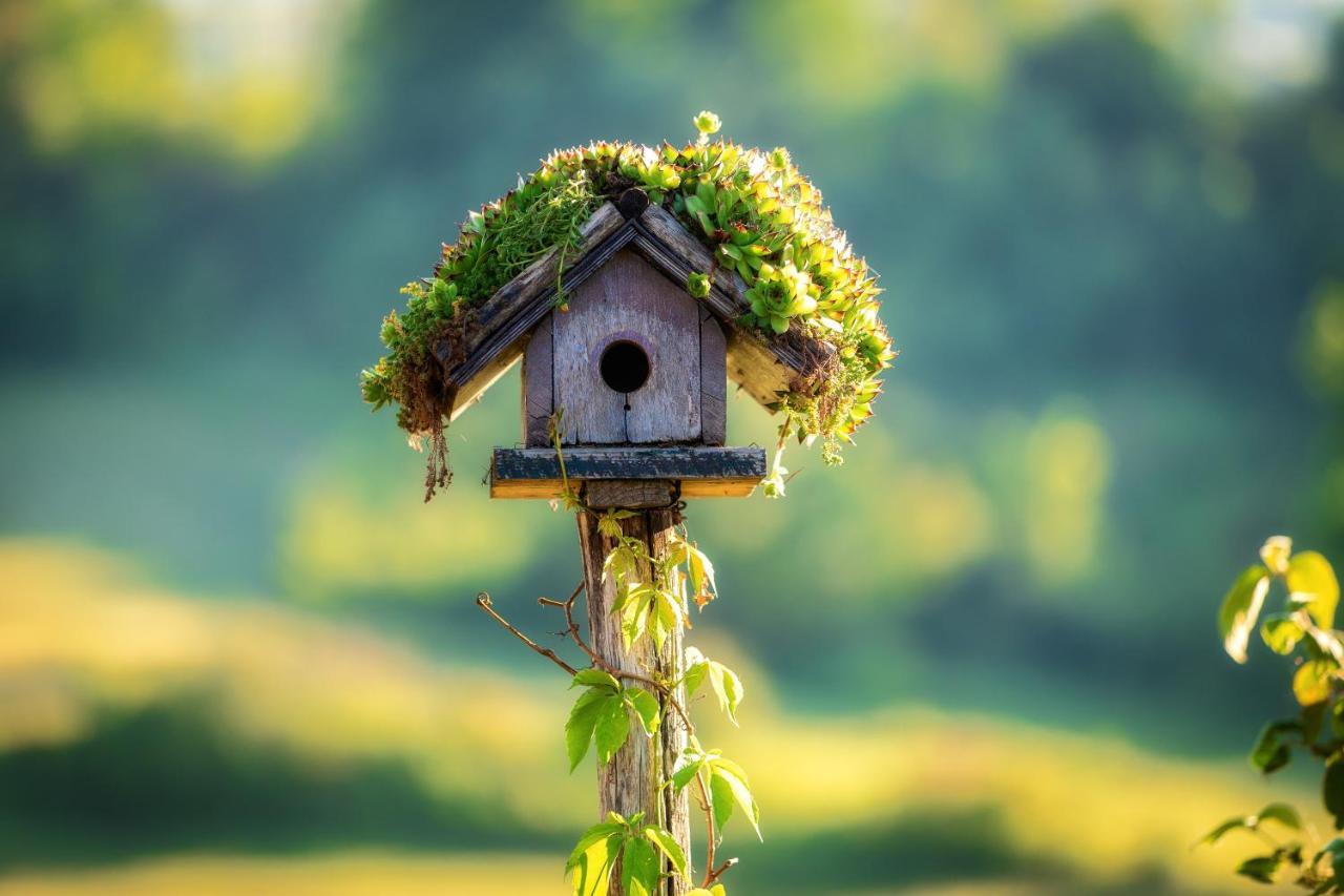 Farmstay Kotic Slunj Esterno foto